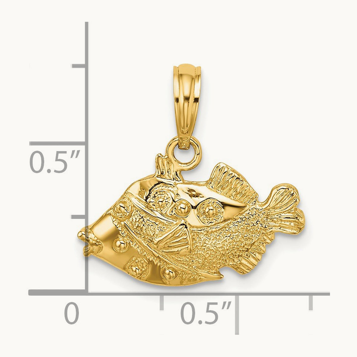 2-D Polished Engraved Fish Charm — photo set