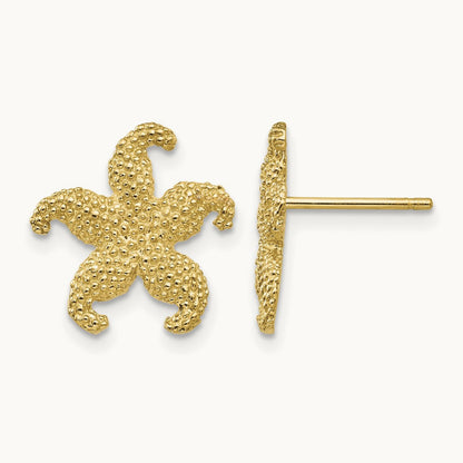 Starfish Post Earrings — photo set