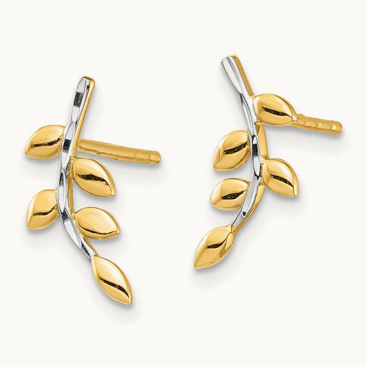 & White Rhodium Leaves Post Earrings, 14K
