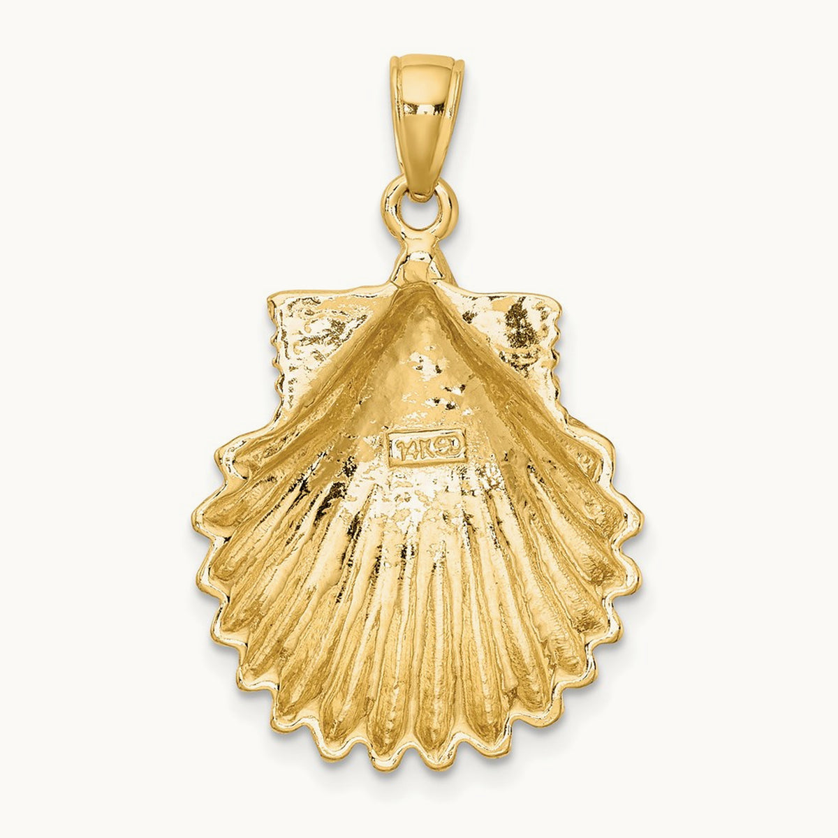 Polished Scallop Shell Charm — 32mm