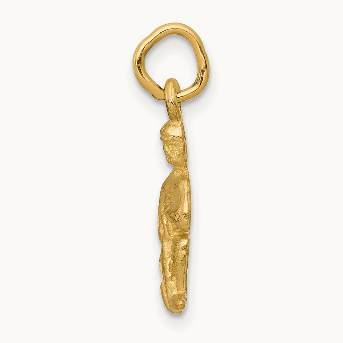 Satin Diamond-cut Aquarius Zodiac Charm — 20mm