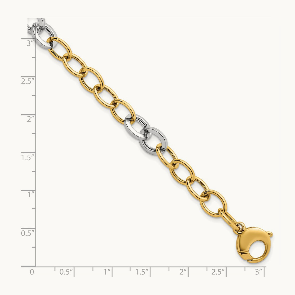 Polished Fancy Circle Chain Bracelet, 9.75mm, 14K Two-tone