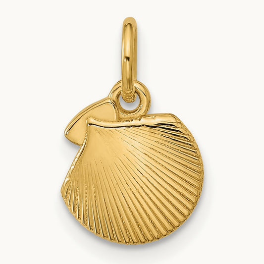 Polished Textured Seashell Pendant, 14K