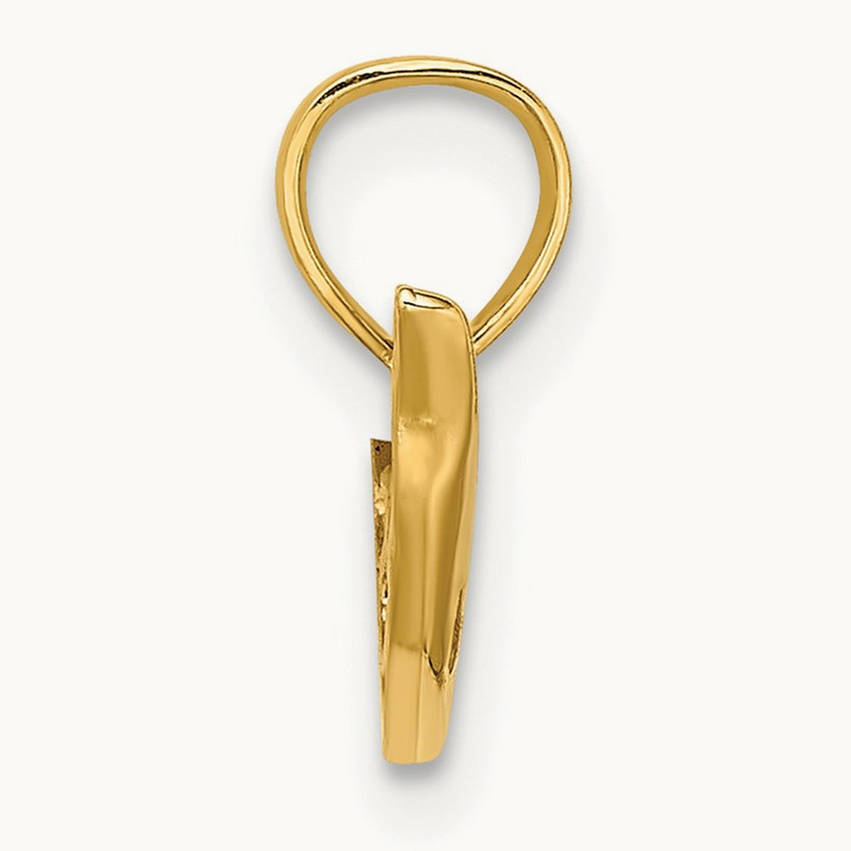 Polished Mini Dolphin Charm, 14K