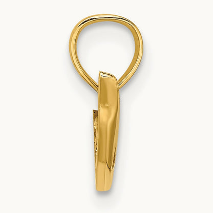 Polished Mini Dolphin Charm, 14K