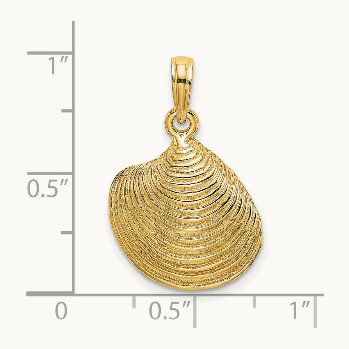 Textured Clam Shell Charm — 24mm