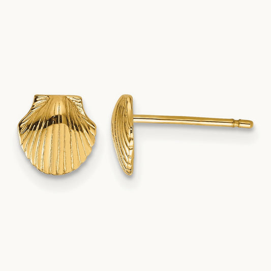 Mini Scallop Shell Post Earrings, 14K