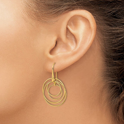 Polished Circles Dangle Earrings — photo set
