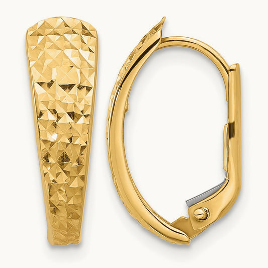 Polished and Diamond-cut Leverback Earrings, 14K
