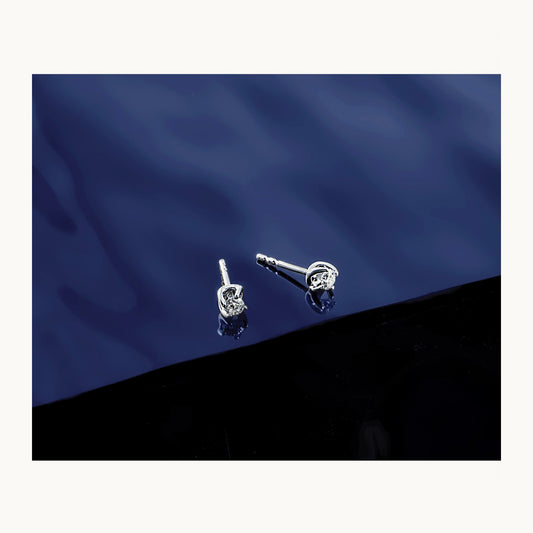 Diamond Leverback Earrings — photo set