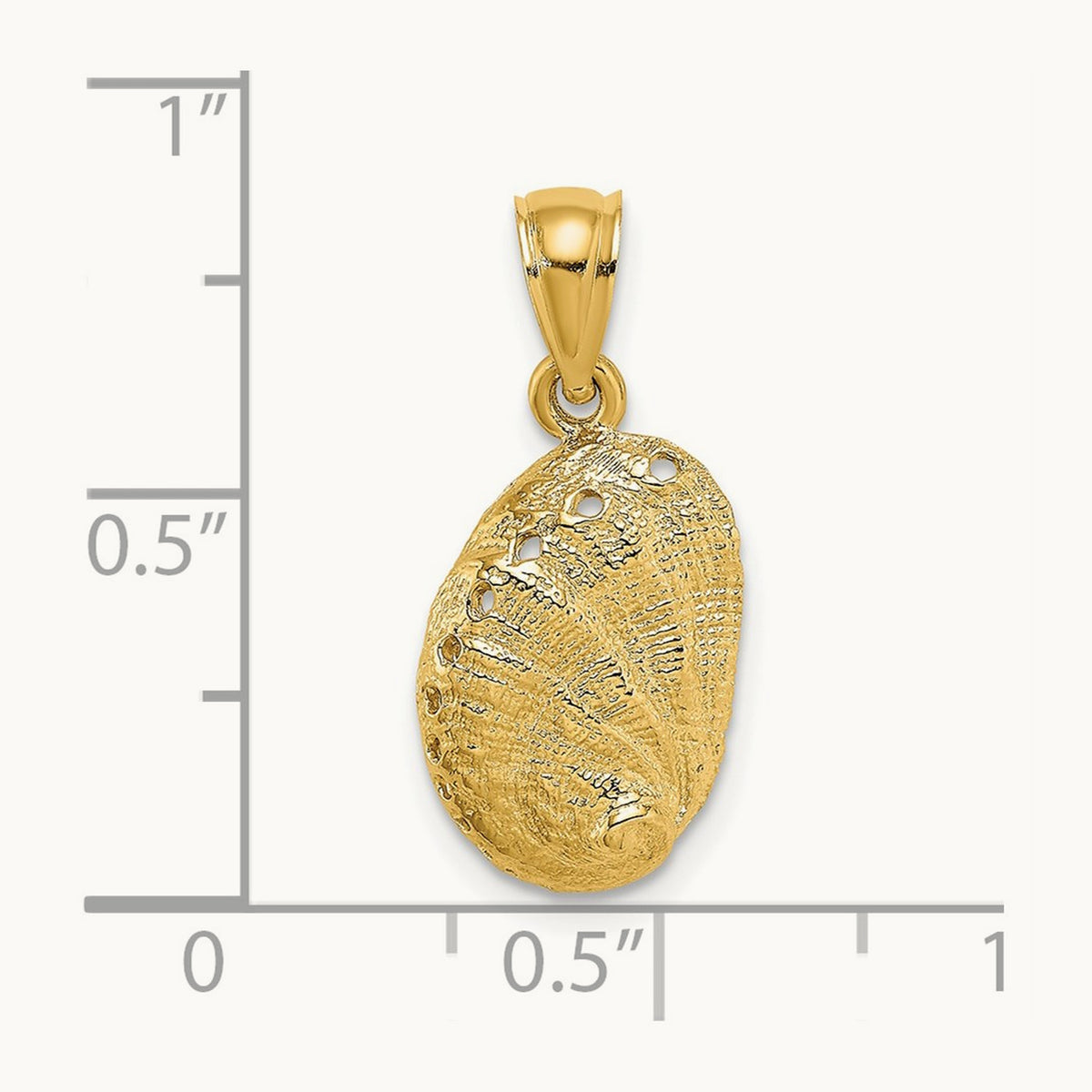 Abalone Shell Charm, 14K