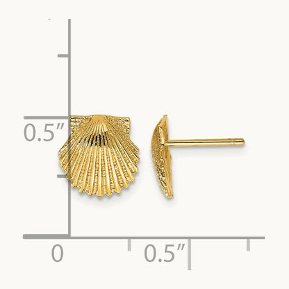 Scallop Shell Post Earrings, 14K