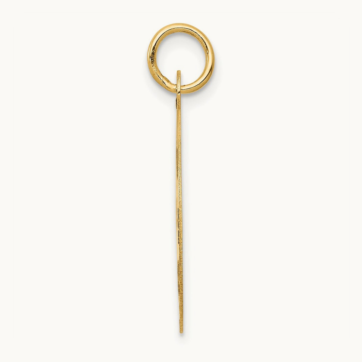 Medium PARAMEDIC Medical Pendant, 14K