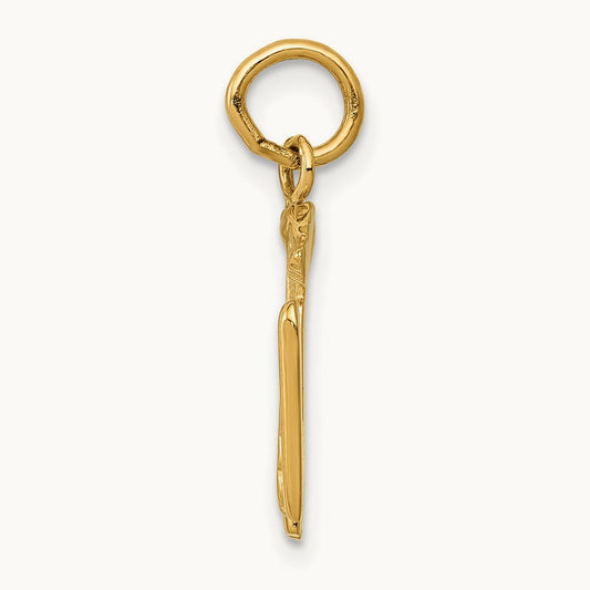 RN Registered Nurse Charm — photo set