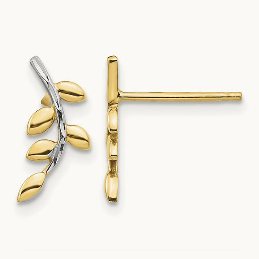 & White Rhodium Leaves Post Earrings, 14K