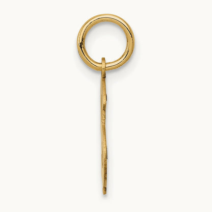 Polished Dollar Sign Charm, 14K
