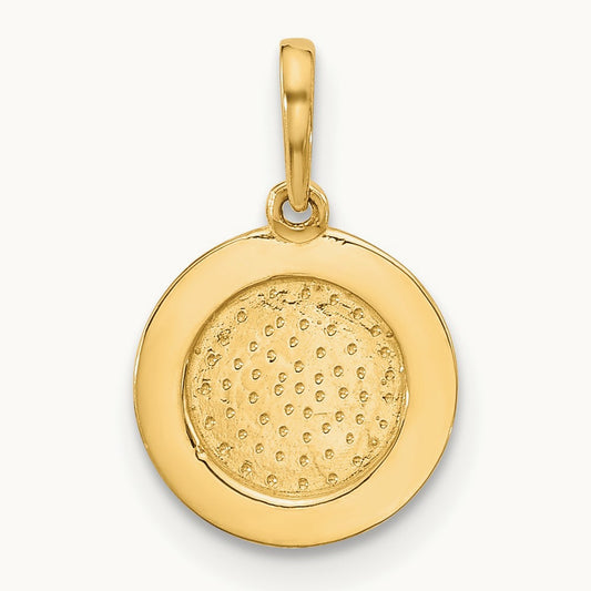 Polished Round with Rope Border Charm, 14K