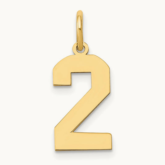 Medium Polished Number 2 Charm — 14K Yellow Gold