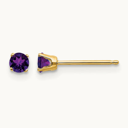 February/Amethyst Post Earrings, 14K