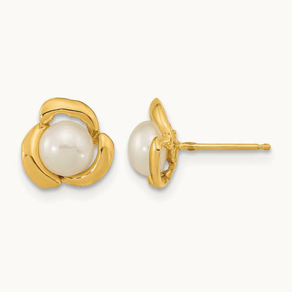 5- White Button Freshwater Cultured Pearl Post Earrings, 14K