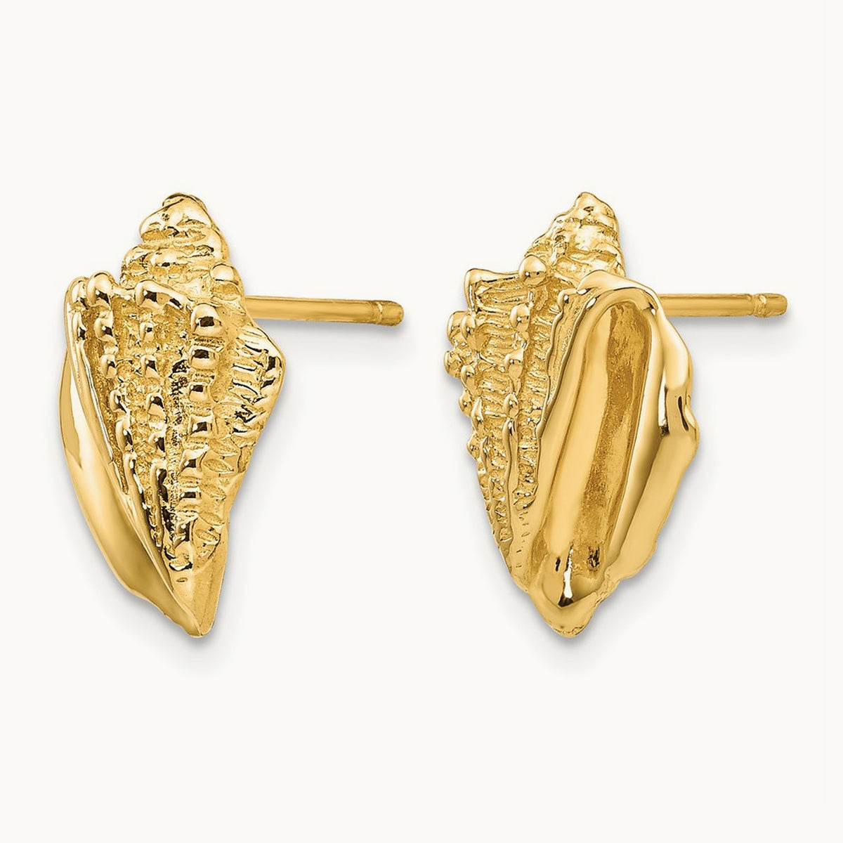 Conch Shell Earrings, 14K