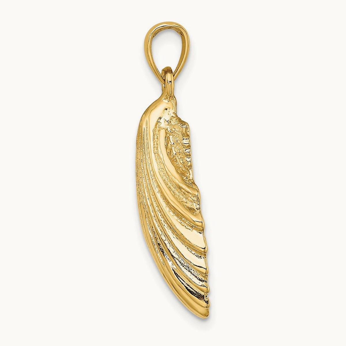 Polished Scallop Shell Charm — 32mm