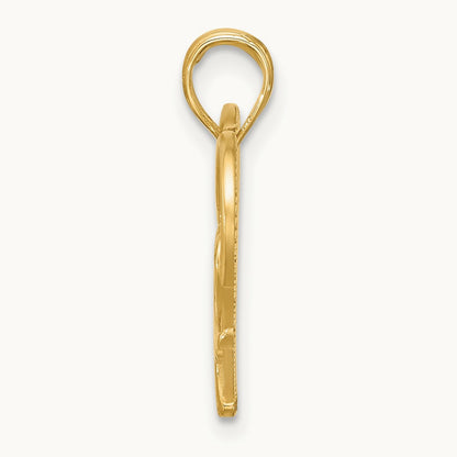 Polished and Brushed Fancy Heart Charm, 14K