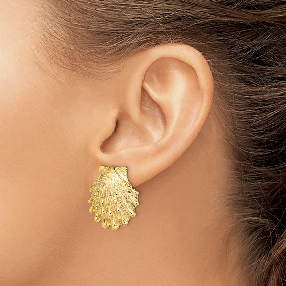 Lion's Paw Shell Post Earrings — 22.3mm