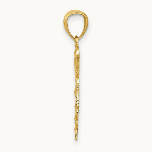 Diamond-cut Polished RN Nurse Pendant — photo set