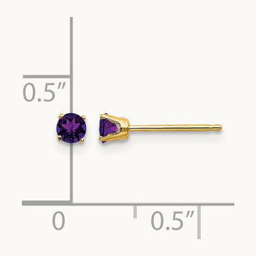 February/Amethyst Post Earrings, 14K