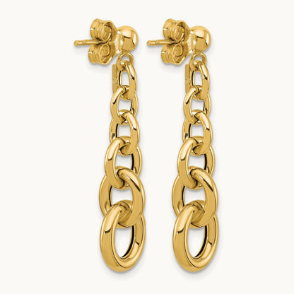 Polished Fancy Circle Link Dangle Post Earrings — Leslie's — photo set