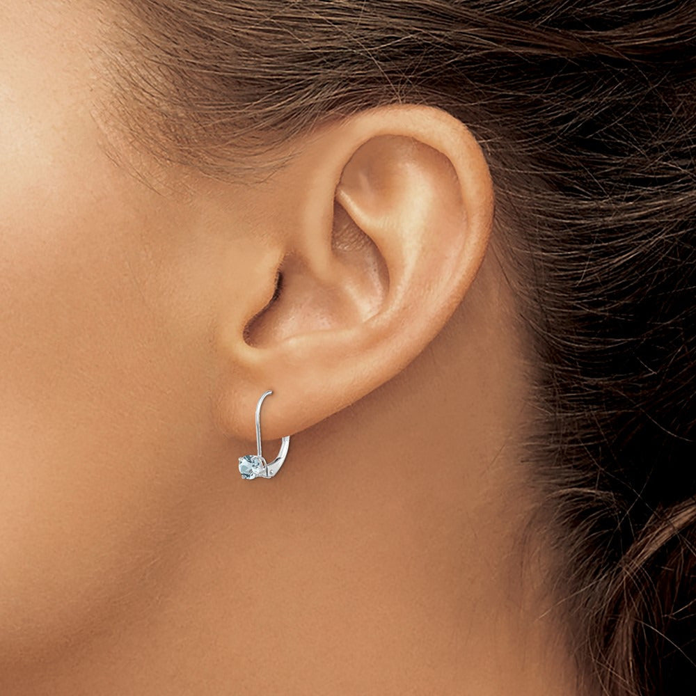 Aquamarine/March Earrings — photo set