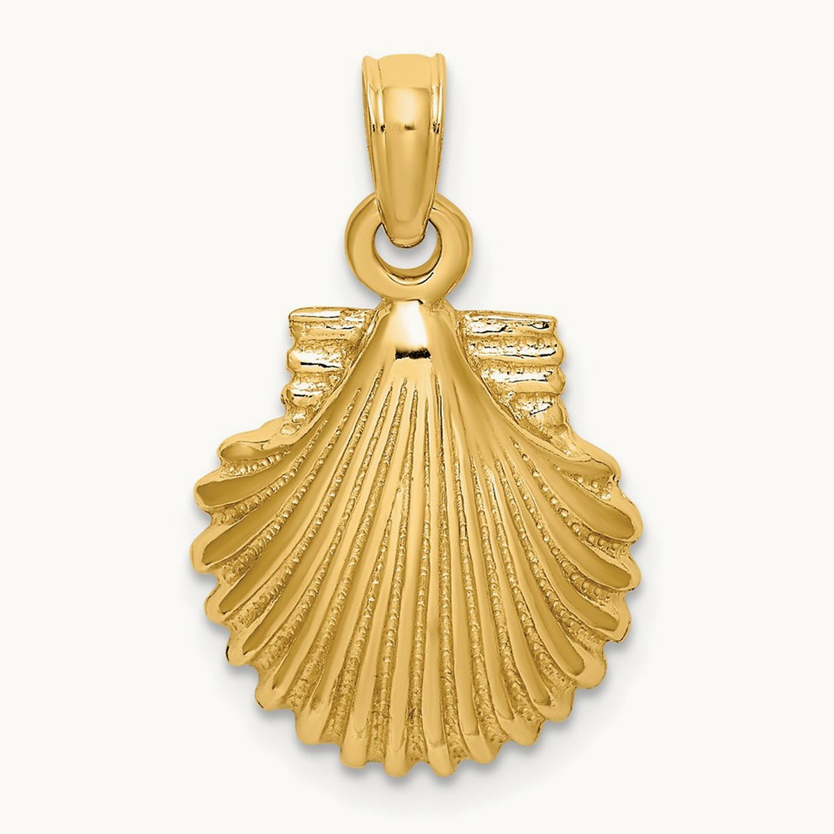 Polished Scallop Shell Charm — 22mm