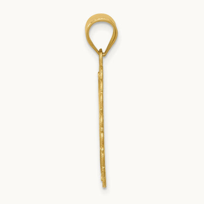 Solid Satin Polished Leo Zodiac Oval Pendant, 14K