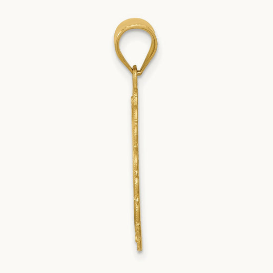 Solid Satin Polished Leo Zodiac Oval Pendant, 14K