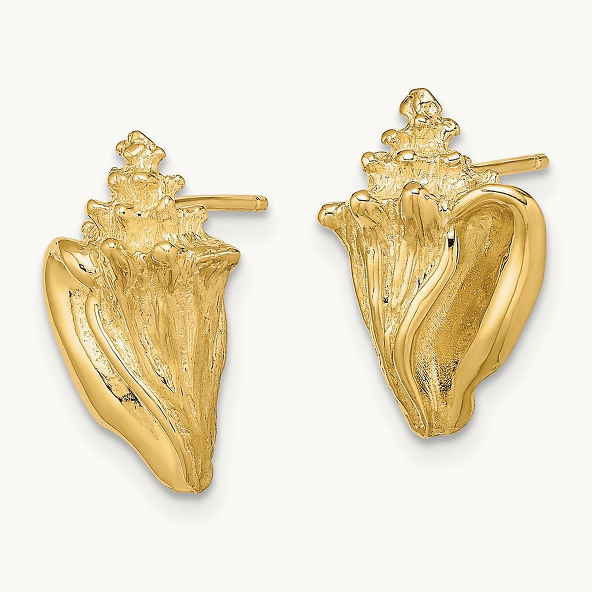 2-D Conch Shell Post Earrings, 14K