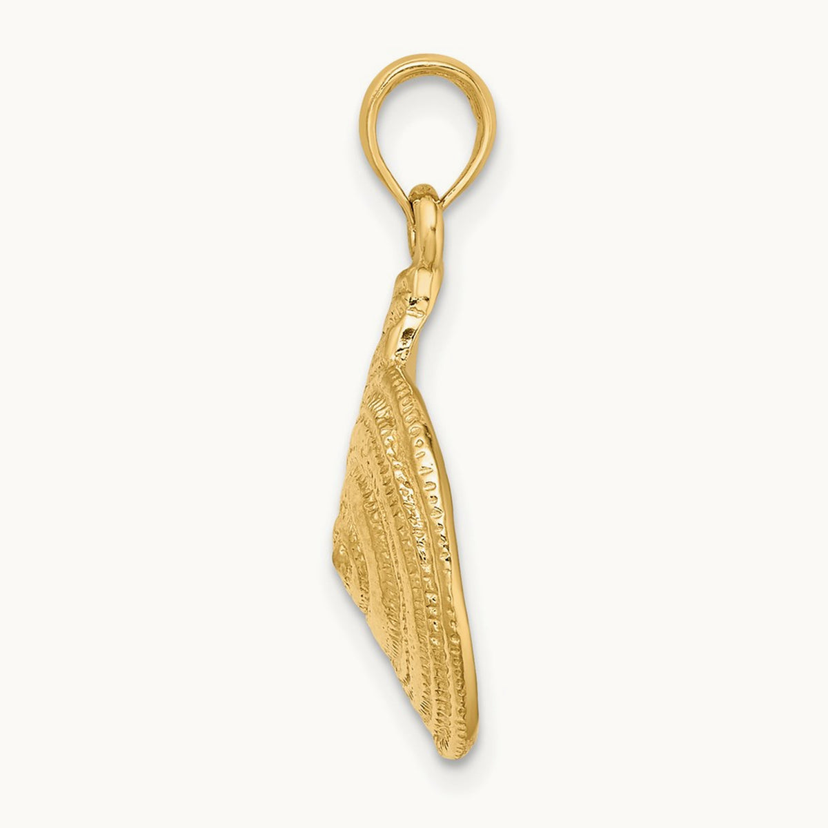 Textured Troca Shell Charm, 14K