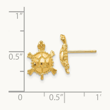 Turtle Post Earrings — photo set