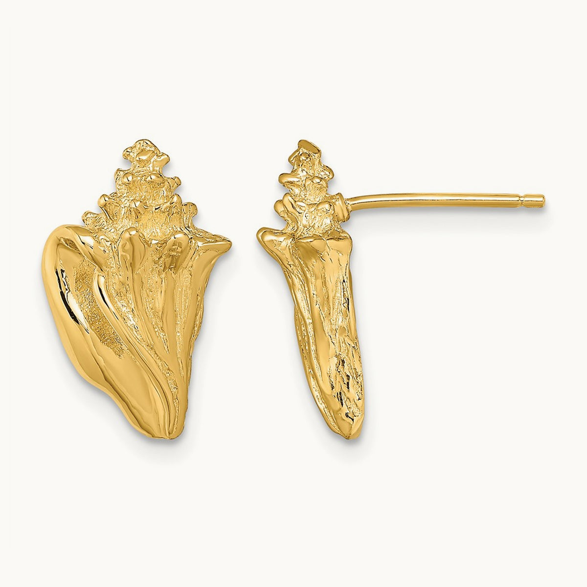 2-D Conch Shell Post Earrings, 14K