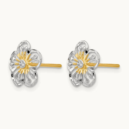 w/ Polished and D/C Post Earrings — Leslie's — photo set