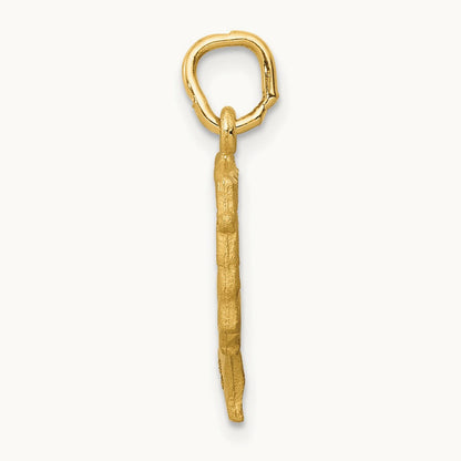 Satin Front / Polished Back Nefertiti Charm, 14K