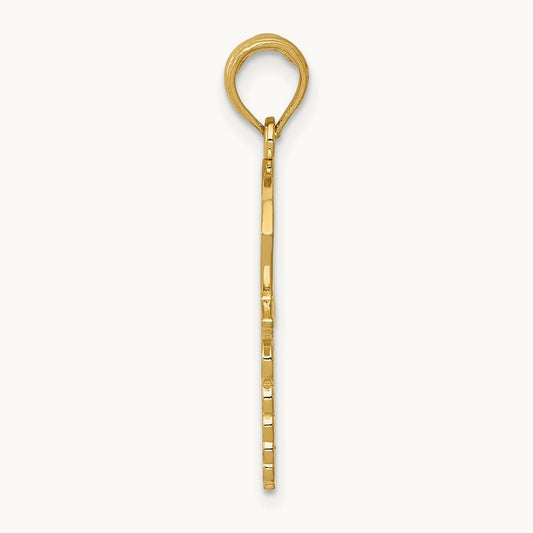 Caduceus w/Nurses Cap Pendant, 14K