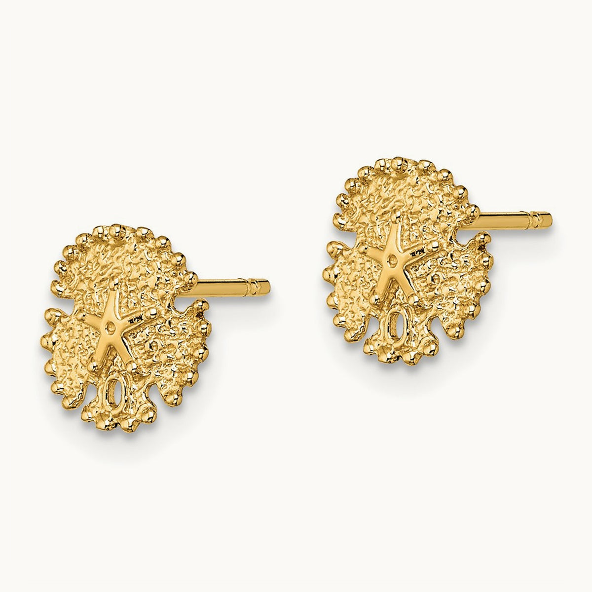 Textured Sand Dollar Post Earrings — 8.4mm