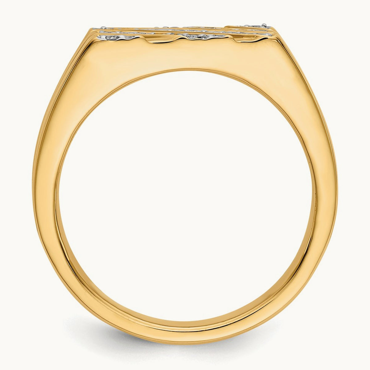 Diamond Mens Ring, 14K
