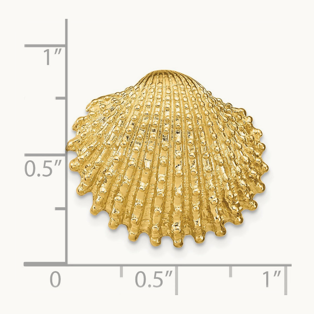 Scallop Shell Slide, 14K