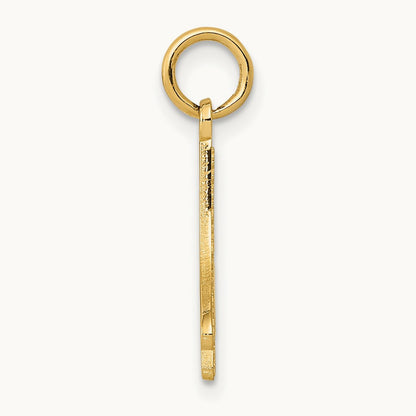 Figure Skate, 14K
