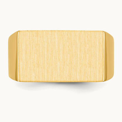 Open Back Mens Signet Ring — photo set