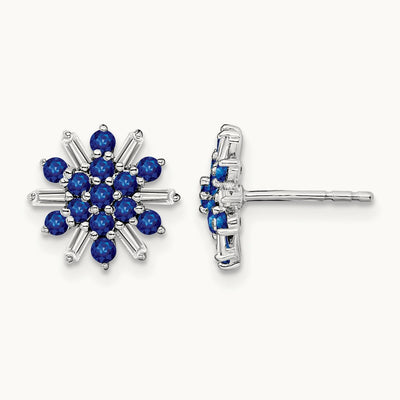 Sapphire and Diamond Earrings — photo set