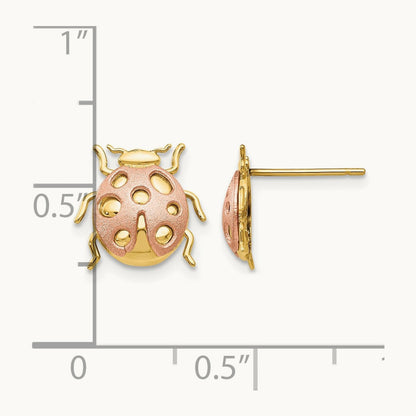 Ladybug Post Earrings, 14K Two-tone