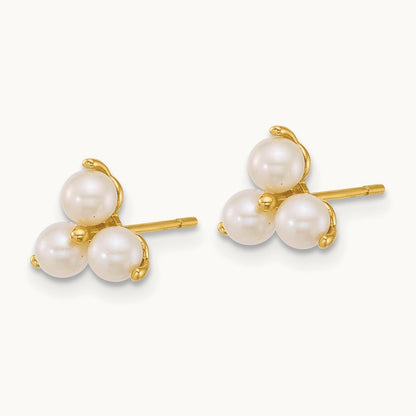 Polished Freshwater Cultured Pearls Post Earrings, 14K
